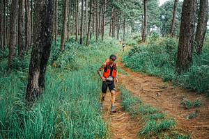 BIB: 
                            <button type="button" onclick="openModal(25657512)" class="btn btn-primary btn-sm float-right btn-popup" data-toggle="modal" data-target=".modal-high-quality">
                        <i class="fas fa-shopping-cart"></i> Add to Cart
                    </button>
                                            <button type="button" onclick="isThisMe(25657512, true)" class="btn btn-success btn-sm float-right btn-popup btn-isme hidden" data-toggle="tooltip" data-placement="bottom" title="นี่คือรูปของคุณใช่ไหม คลิกที่นี่เพื่อเอาเข้าอัลบั้ม">
                        <i class="fas fa-plus"></i> Add to album
                    </button>
                    <button type="button" onclick="isThisMe(25657512, false)" class="btn btn-warning btn-sm float-right btn-popup btn-isnotme hidden">
                        <i class="fas fa-ban"></i> Remove from album
                    </button>